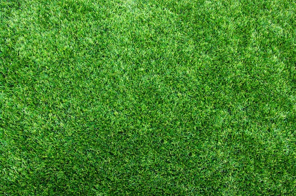 Textura gramado verde — Fotografia de Stock