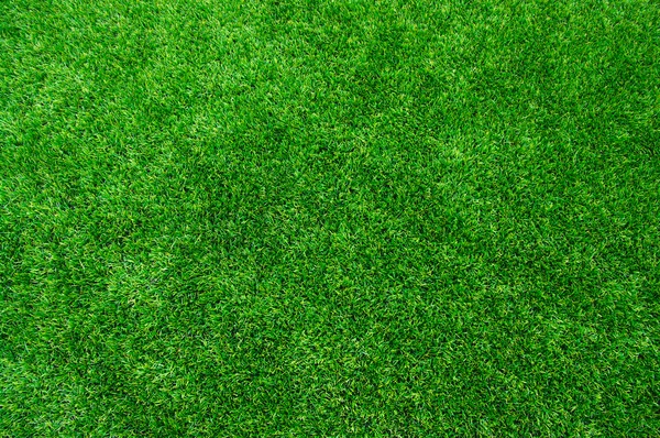 Doku yeşil çim — Stok fotoğraf