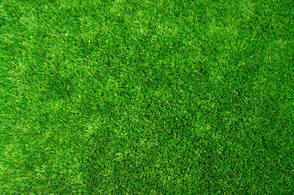 Textur grüner Rasen — Stockfoto