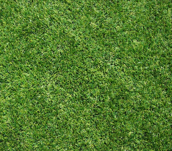 Тканево-зелёный газон — стоковое фото