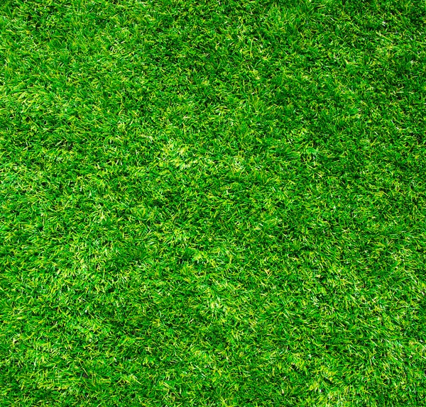 Texture pelouse verte — Photo
