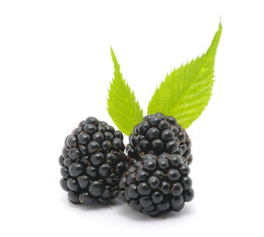 Blackberry