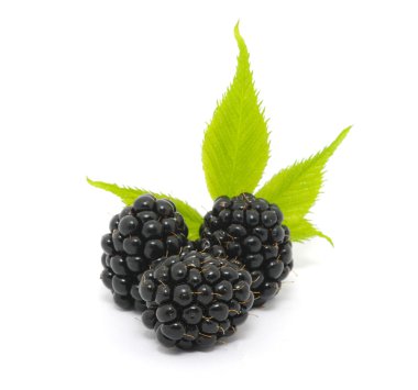 Blackberry