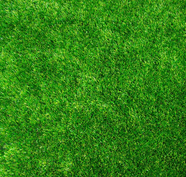 Textura césped verde — Foto de Stock