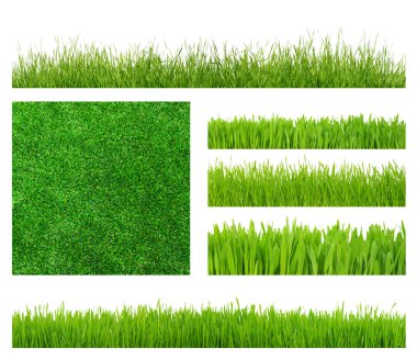 Green grass clipart