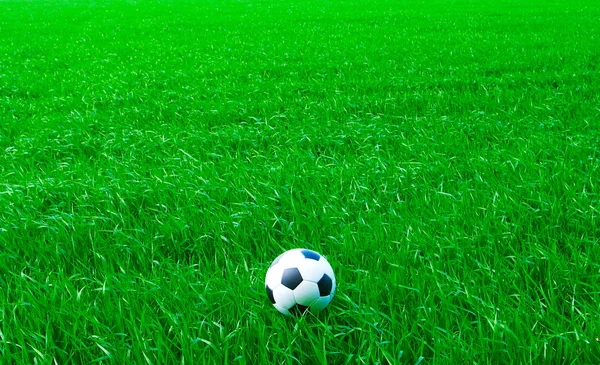 Pallone da calcio — Foto Stock