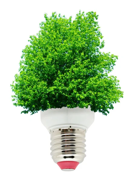 Зеленої енергії — стокове фото