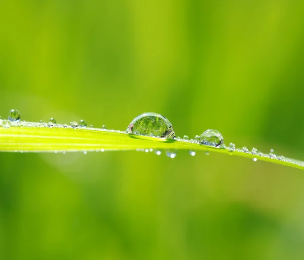 Gocce d'acqua — Foto Stock