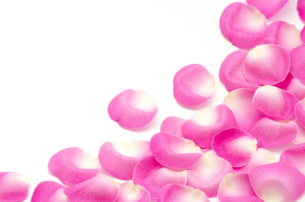 Рожеві пелюстки троянди — стокове фото