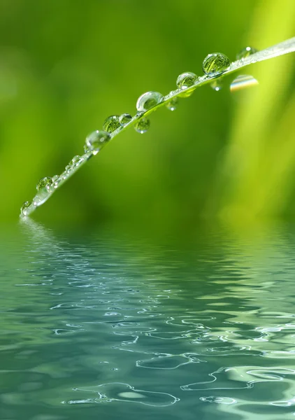 stock image Water drops