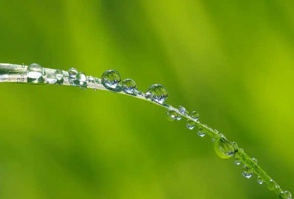 Gocce d'acqua — Foto Stock