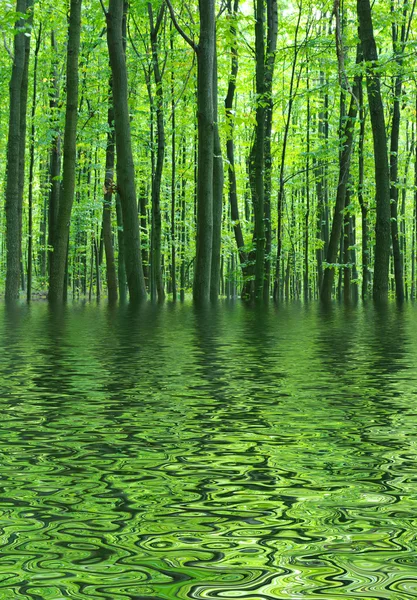 stock image Green forest