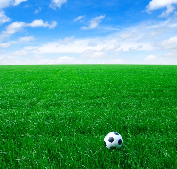 Bola sepak bola — Stok Foto