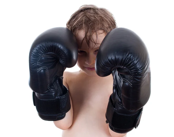 Pequeño boxeador — Foto de Stock