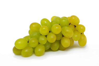 Green grapes clipart