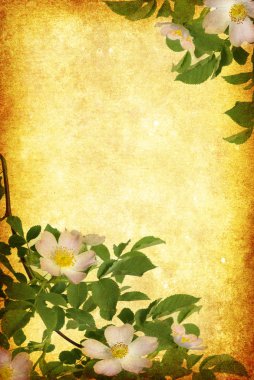 Grunge flowers background clipart
