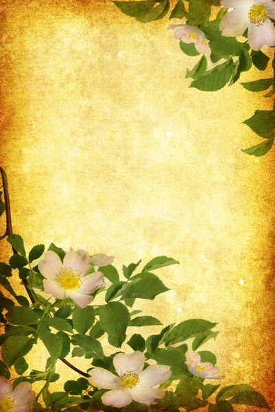 Grunge bloemen achtergrond — Stockfoto