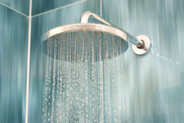 Cabeza de ducha Imagen de stock