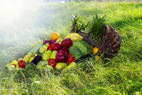 Samenstelling met verschillende soorten fruit — Stockfoto