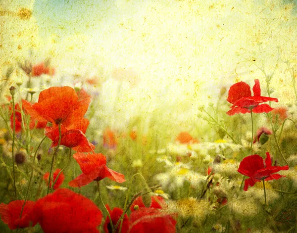 Grunge Poppies Hintergrund — Stockfoto
