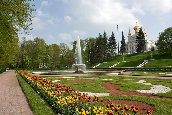 Weergave van de track en fonteinen in lagere park, peterhof, Rusland. — Stockfoto