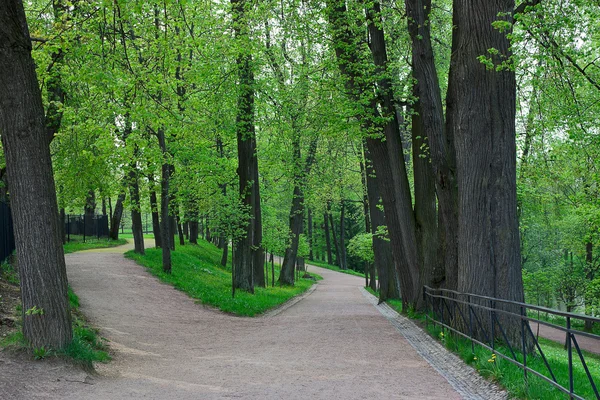 Парк в Петергофе — стоковое фото