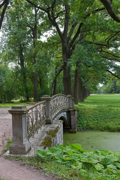 Pont à Tsarskoye Selo Photo De Stock