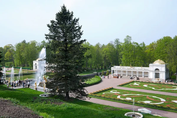 Lägre Park Peterhof — Stockfoto