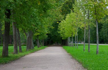 Park yolu