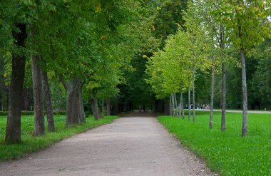 Path in park clipart