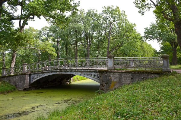 Brücke in zarskoje selo — Stockfoto