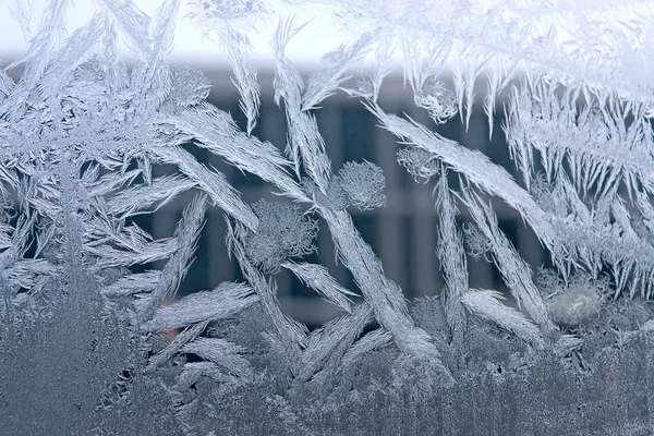 Frost am Fenster — Stockfoto