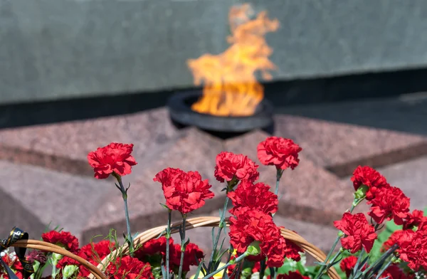stock image Red carnations against a background of the eternal flame