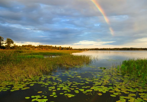 Paisaje del lago de verano con arco iris —  Fotos de Stock