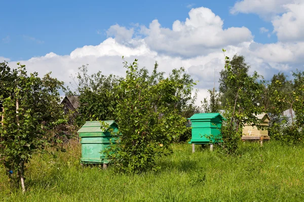 stock image Summer landscape with honey bee hives