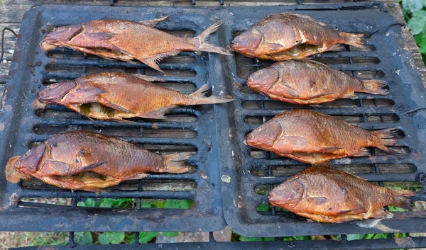 stock image Smoked fish