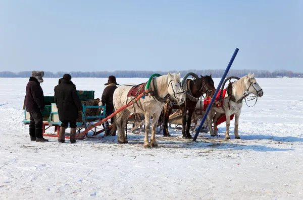 Three horses with sleds at the bank of frozen river in Russia — Stock Photo, Image