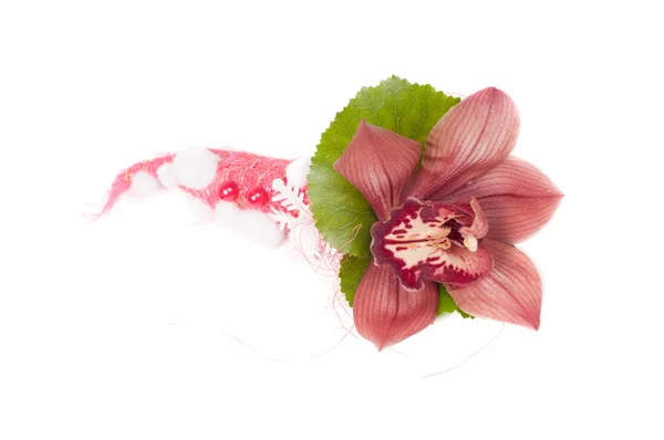 Orchidee im Atelier — Stockfoto