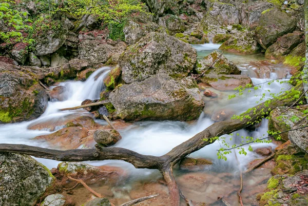 Spring stream — Stock Photo, Image