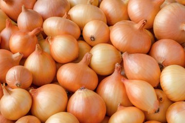 Heap of onions clipart