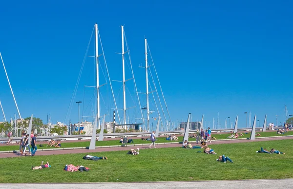 çimenlerin üzerinde bekletin. Barcelona. İspanya