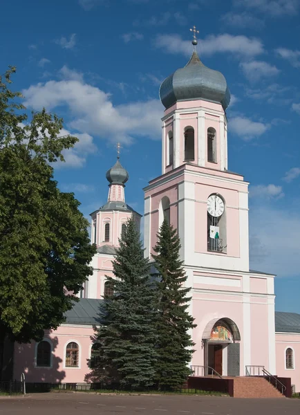 Cathedral in the town — Stock Photo, Image