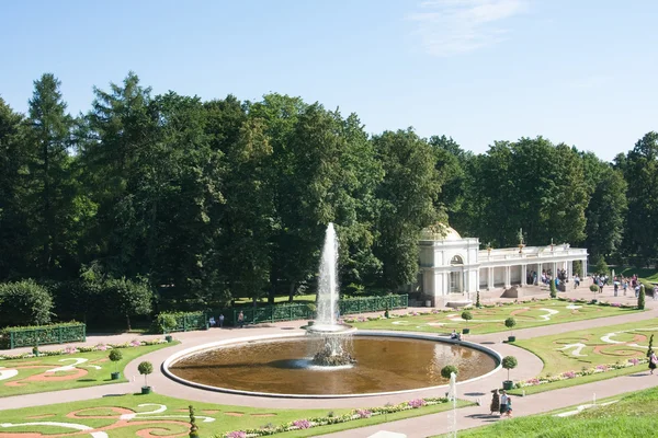 Peterhof. Unterer Park. Brunnen "Schale" Parterre Blumengarten — Stockfoto