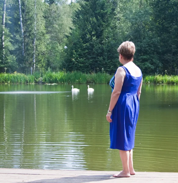 A woman watching swans — Stock Photo, Image