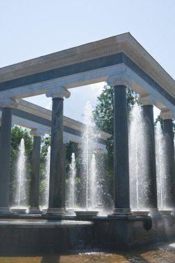 Peterhof çeşme. Aslan çağlayan. St.Petersburg, Rusya Federasyonu.