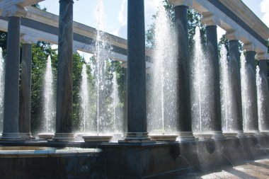 Peterhof çeşme. Aslan çağlayan. St.Petersburg, Rusya Federasyonu.