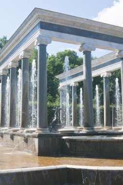 Peterhof çeşme. Aslan çağlayan. St.Petersburg, Rusya Federasyonu.