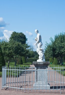 Peterhof. daha düşük bir park. Venüs heykeli. Rusya