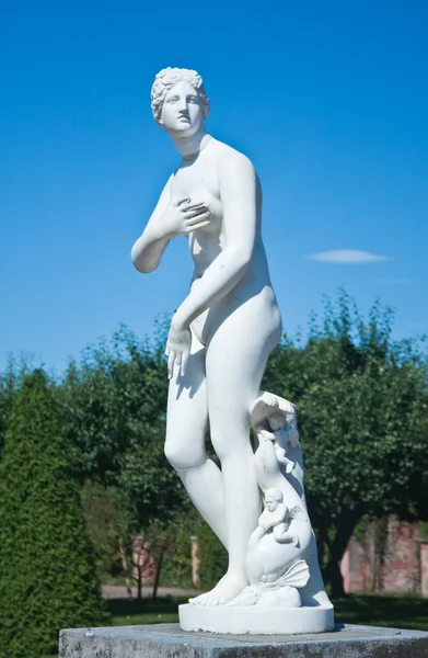 Peterhof. Lower Park. Sculpture of Venus. Russia — Stock Photo, Image