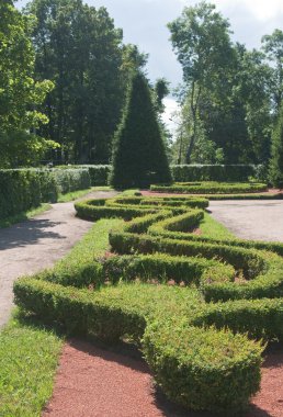 Peterhof peyzaj. Rusya